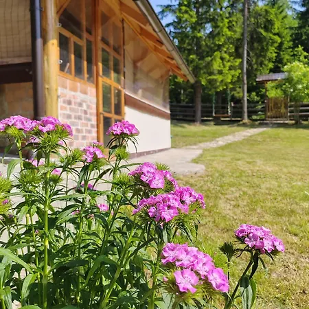 Сasa de vacaciones Ma Ritz Zaovine